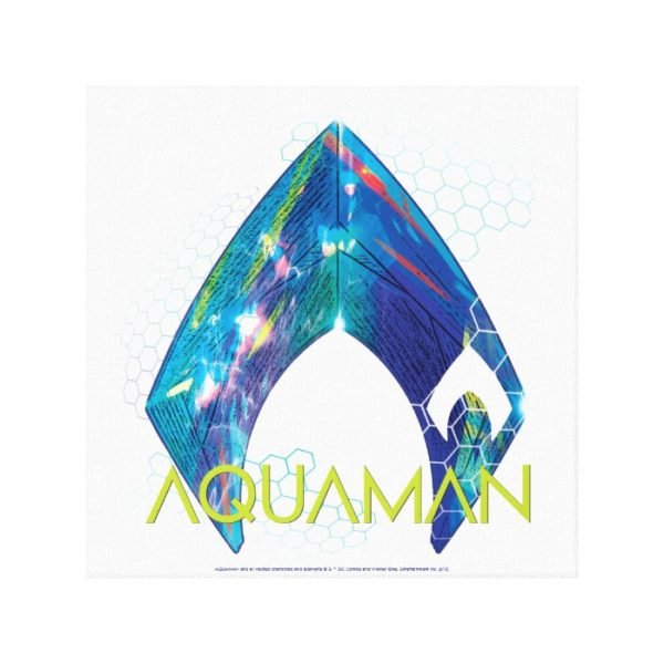 Aquaman | Refracted Aquaman Logo Canvas Print