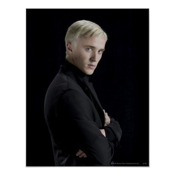 Draco Malfoy Arms Crossed Poster
