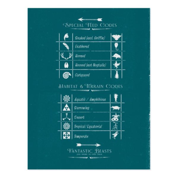 FANTASTIC BEASTS AND WHERE TO FIND THEM™Code Chart Postcard