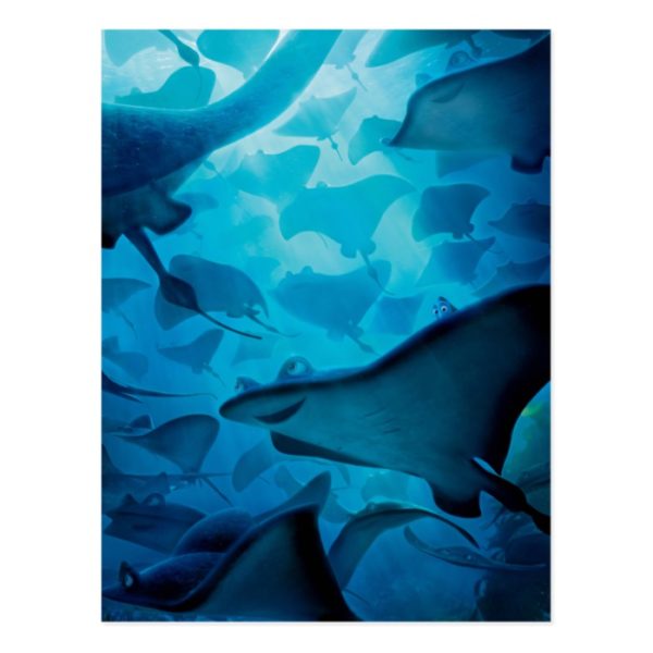 Finding Dory | Hide and Seek - Rays Postcard