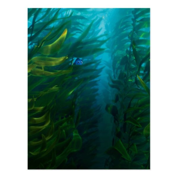 Finding Dory | Hide and Seek - Sea Kelp Postcard