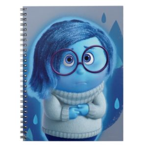 Forecast is for Blue Skies Notebook