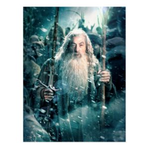 Gandalf The Gray Postcard