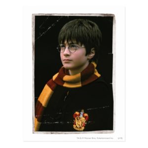Harry Potter 2 Postcard
