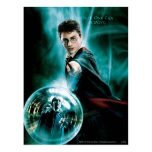 Harry Potter and Voldemort Only One Can Survive Postcard