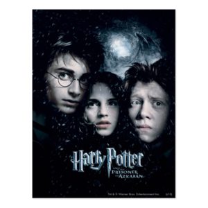 Harry Potter Movie Poster Postcard