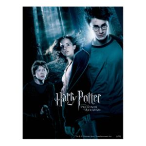 Harry Potter Ron Hermione In Forest Postcard