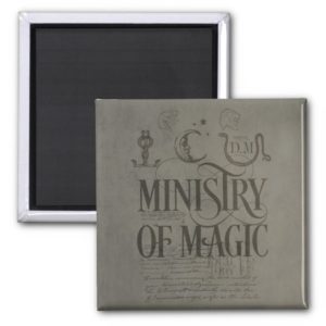 Harry Potter Spell | MINISTRY OF MAGIC Magnet