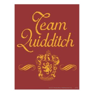Harry Potter | Team QUIDDITCH™ Postcard