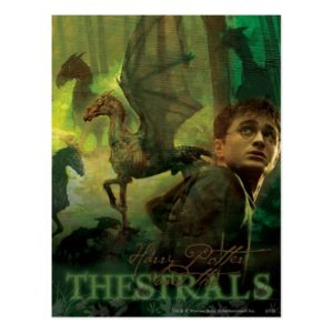 Harry Potter Thestrals Postcard