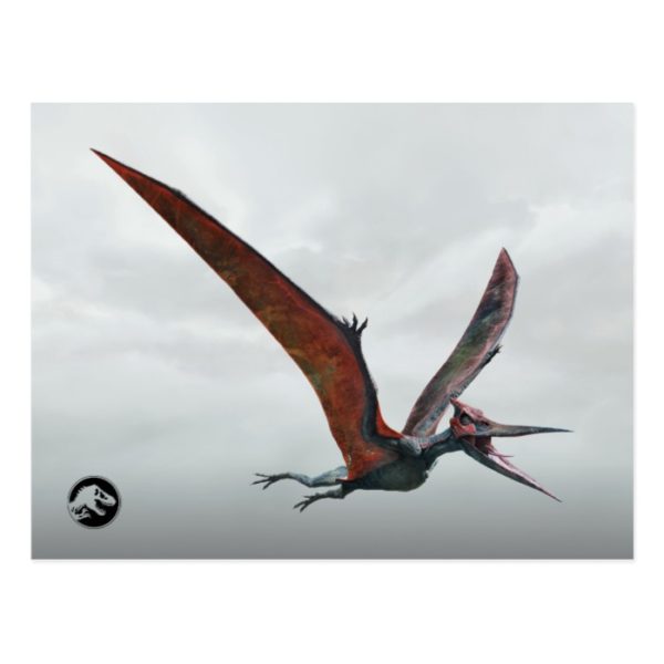 Jurassic World | Pteranodon Postcard