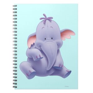 Lumpy 1 notebook