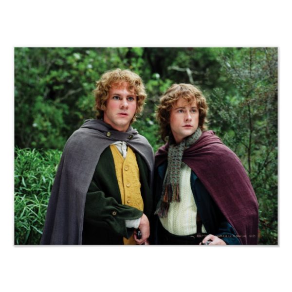 Merry and Peregrin Poster