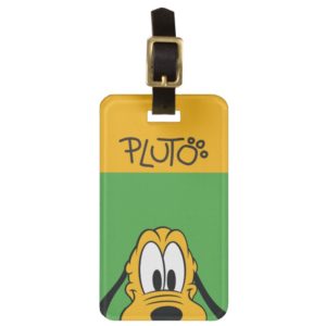 Pluto | Peek-a-Boo Luggage Tag