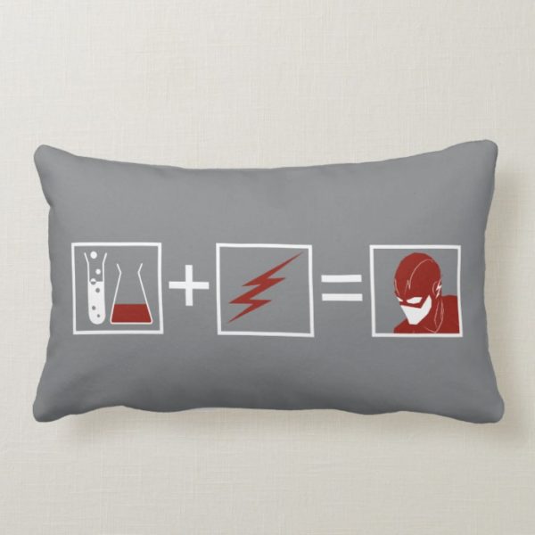 The Flash | Flash Equation Lumbar Pillow