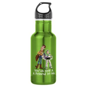 Toy Story 3 - Buzz & Woody Stainless Steel Water Bottle