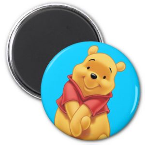 Winnie the Pooh 13 Magnet