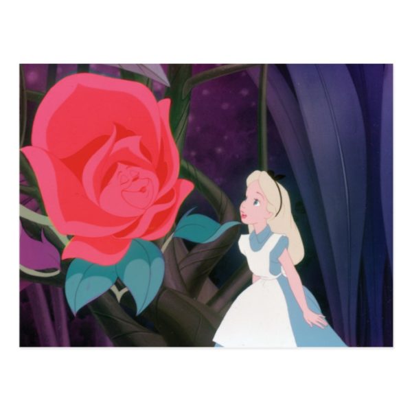 Alice in Wonderland Garden Flower Film Still Postcard