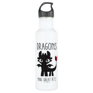 "Dragons Make Great Pets" Toothless Graphic Stainless Steel Water Bottle