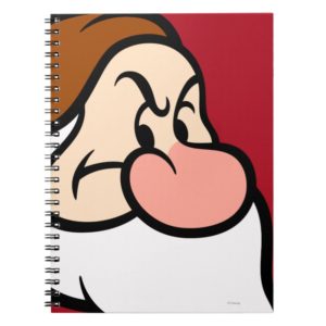 Grumpy 13 notebook