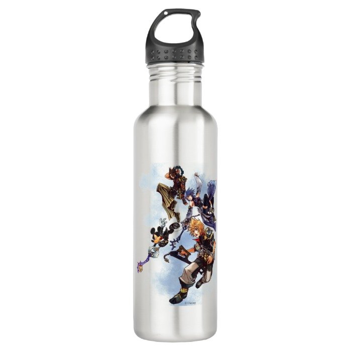 Kingdom Hearts: Birth by Sleep | Main Cast Box Art Stainless Steel Water Bottle