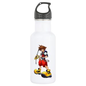 Kingdom Hearts | Sora Character Illustration Stainless Steel Water Bottle