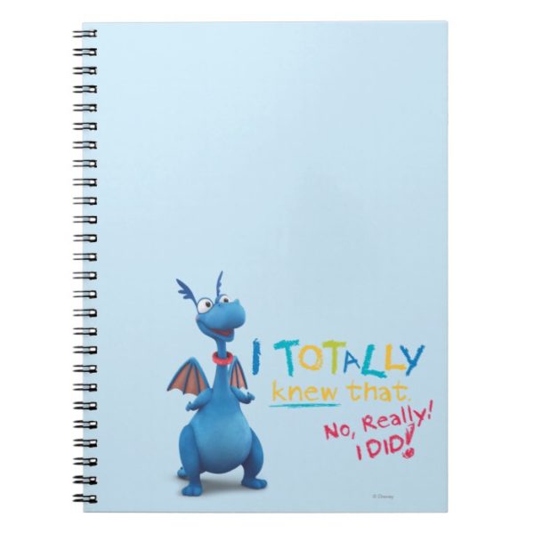 Stuffy - I Totally Knew that Notebook