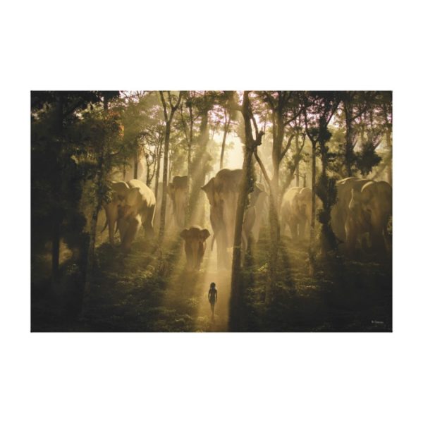 The Jungle Book Elephants Canvas Print