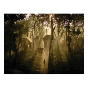 The Jungle Book Elephants Postcard