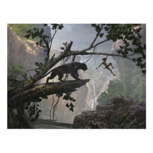 The Jungle Book | Mystery of the Jungle Postcard