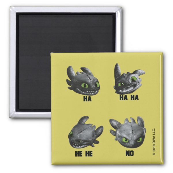 Toothless Face Expression Chart Magnet