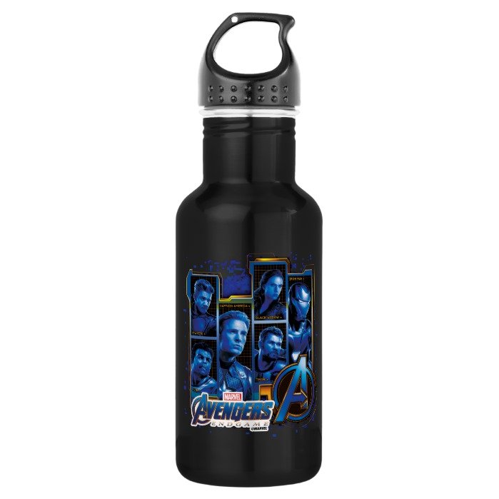 Avengers: Endgame | Avengers Character Panels Stainless Steel Water Bottle