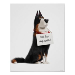 Rooster - Real Dogs Sleep Outside Poster