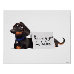 Secret Life of Pets | Buddy - Low, Low, Low Poster
