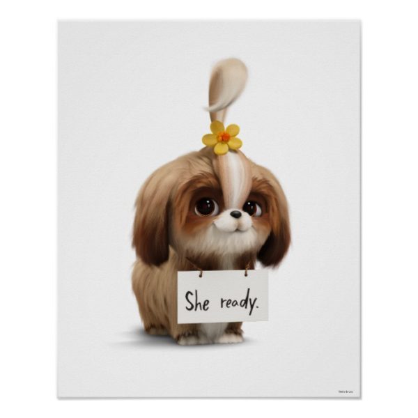 Secret Life of Pets | Daisy - She Ready Poster