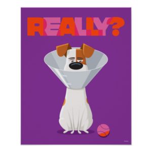 Secret Life of Pets - Max | Really? Poster