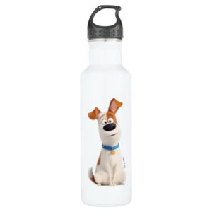 Secret Life of Pets - Max Stainless Steel Water Bottle