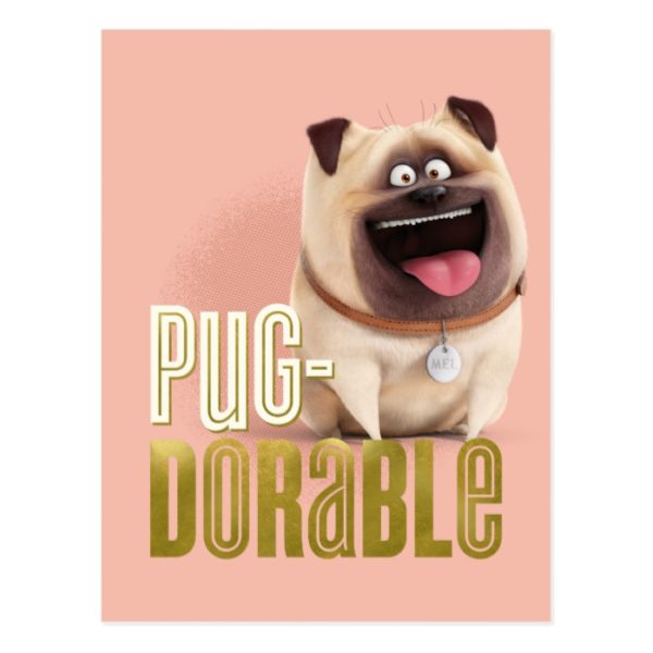 Secret Life of Pets - Mel | Pug-Dorable Postcard